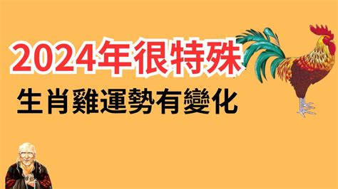 雞 顏色|雞年開運色：2024年必備指南